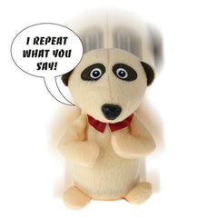 CHITTER CHATTER MEERKAT