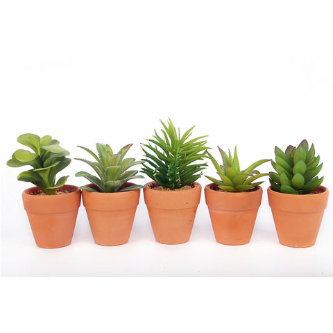 FAUX SUCCULENT CACTUS IN A TERRACOTTA POT