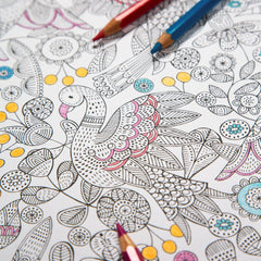 COLOUR ME IN WRAPPING PAPER 3 SHEETS