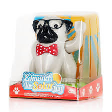 Edmond The Solar Waving Pug